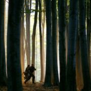 Za linią wroga - galeria zdjęć - filmweb