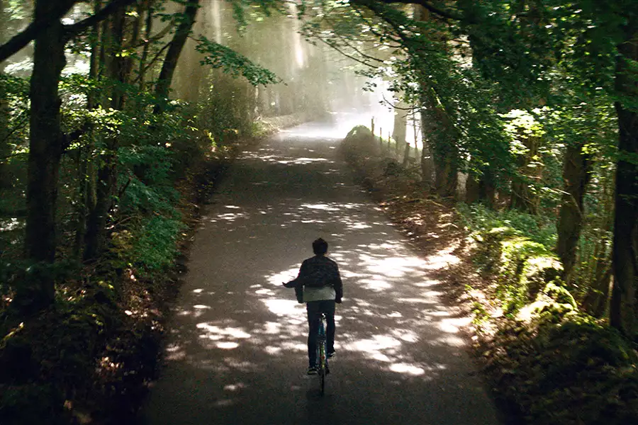 Filofobia - galeria zdjęć - filmweb