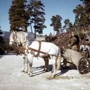 Upadek Cesarstwa Rzymskiego - galeria zdjęć - filmweb