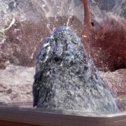 Avalanche Sharks - galeria zdjęć - filmweb