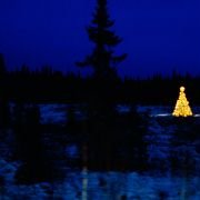 Hjem til jul - galeria zdjęć - filmweb