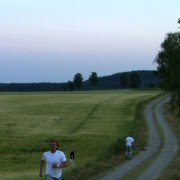 De ofrivilliga - galeria zdjęć - filmweb