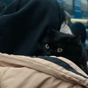 Bucha - galeria zdjęć - filmweb