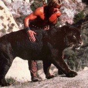 The Beastmaster - galeria zdjęć - filmweb
