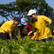 Afryka Express - galeria zdjęć - filmweb