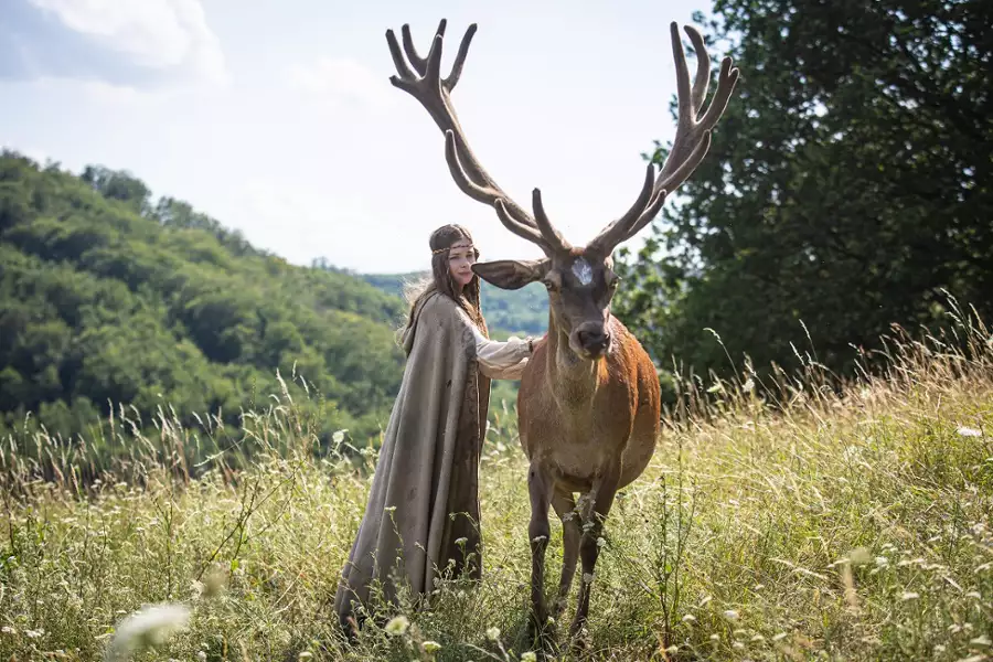 Słowianie. Płomień mocy - galeria zdjęć - filmweb