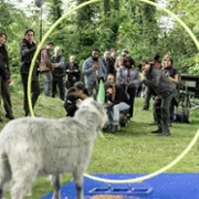 The Franchise - galeria zdjęć - filmweb
