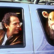 Sułtani westernu - galeria zdjęć - filmweb