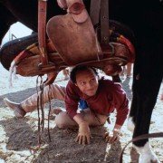 City Slickers - galeria zdjęć - filmweb