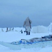 Aningaaq - galeria zdjęć - filmweb