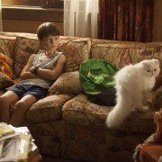 Mów mi Vincent - galeria zdjęć - filmweb
