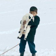 Kuzu - galeria zdjęć - filmweb