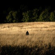 Stereo - galeria zdjęć - filmweb