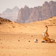 Ostatnie dni na Marsie - galeria zdjęć - filmweb