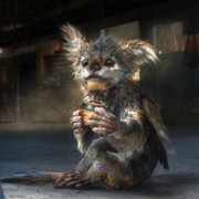 Chupa - galeria zdjęć - filmweb