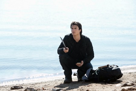 Sezon 4 Odcinek 13 Into the Wild