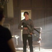 The Vampire Diaries - galeria zdjęć - filmweb