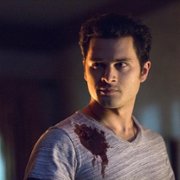 The Vampire Diaries - galeria zdjęć - filmweb