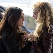 The Vampire Diaries - galeria zdjęć - filmweb