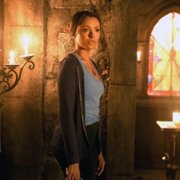 The Vampire Diaries - galeria zdjęć - filmweb