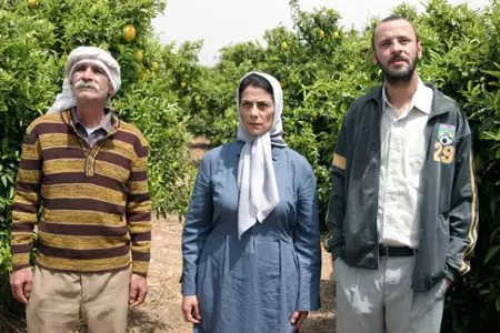 Drzewo cytrynowe - galeria zdjęć - filmweb