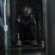 A.X.L. - galeria zdjęć - filmweb