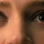 Companion - galeria zdjęć - filmweb