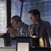CAT. 8 - galeria zdjęć - filmweb