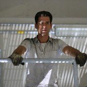 CAT. 8 - galeria zdjęć - filmweb