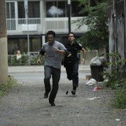 CAT. 8 - galeria zdjęć - filmweb