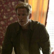 CAT. 8 - galeria zdjęć - filmweb