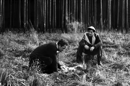 Żywot Mateusza - galeria zdjęć - filmweb