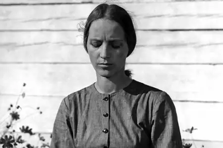 Żywot Mateusza - galeria zdjęć - filmweb