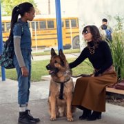 Puppy Place - galeria zdjęć - filmweb