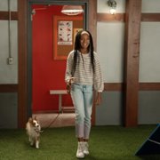 Puppy Place - galeria zdjęć - filmweb