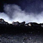 La Meute - galeria zdjęć - filmweb