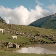 Il buco - galeria zdjęć - filmweb