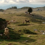 Il buco - galeria zdjęć - filmweb
