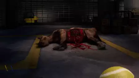 CANINE - galeria zdjęć - filmweb