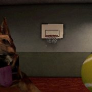 CANINE - galeria zdjęć - filmweb
