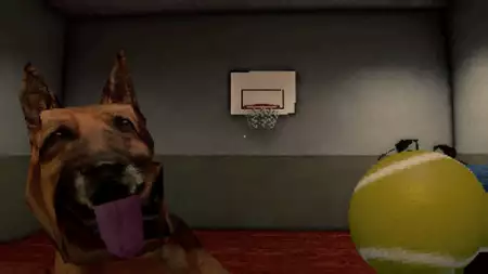 CANINE - galeria zdjęć - filmweb