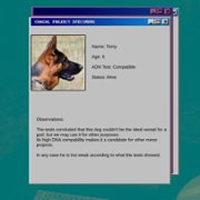 CANINE - galeria zdjęć - filmweb