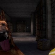 CANINE - galeria zdjęć - filmweb