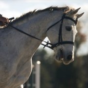 Bad Sport - galeria zdjęć - filmweb