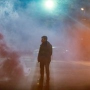 Dzikusy - galeria zdjęć - filmweb