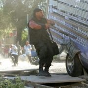 Świt żywych trupów - galeria zdjęć - filmweb
