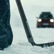 Fritt vilt II - galeria zdjęć - filmweb