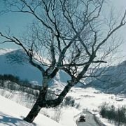 Fritt vilt II - galeria zdjęć - filmweb