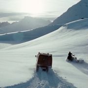 Fritt vilt II - galeria zdjęć - filmweb
