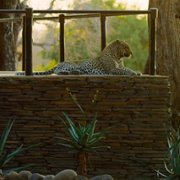 The Year Earth Changed - galeria zdjęć - filmweb